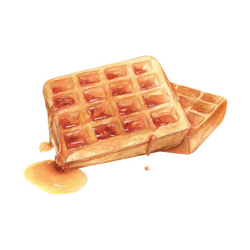 Belgian waffles honey watercolor drawing. Liege cake sweet bakery tasty dessert illustration. Pastry aquarelle isolated. Delicious breakfast treat griddle caramelized sugar