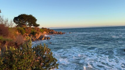 Peaceful Early Morning on the Shoreline of Pacific Grove at Ocean View Boulevard. Seagulls Flying with Waves Crashing in the Background during High Tide. Monterey Bay, California.