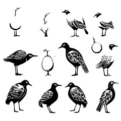 bird, birds, animal, vector, illustration, cartoon, set, cute, duck, owl, nature, animals, drawing, design, icon, sparrow, collection, feather, art, flying, wing, wild, wildlife, robin, pattern, sprin