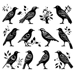 bird, birds, animal, vector, illustration, cartoon, set, cute, duck, owl, nature, animals, drawing, design, icon, sparrow, collection, feather, art, flying, wing, wild, wildlife, robin, pattern, sprin