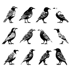 bird, birds, animal, vector, illustration, cartoon, set, cute, duck, owl, nature, animals, drawing, design, icon, sparrow, collection, feather, art, flying, wing, wild, wildlife, robin, pattern, sprin