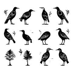 bird, animal, vector, birds, set, illustration, cartoon, duck, cute, nature, owl, design, drawing, sparrow, collection, animals, icon, wing, wild, pattern, feather, parrot, wildlife, flying, art, dove