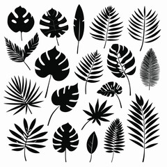 Exotic tropical leaves set silhouette collection vector illustration
