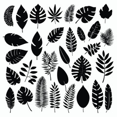 Exotic tropical leaves set silhouette collection vector illustration