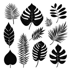 Fototapeta na wymiar Exotic tropical leaves set silhouette collection vector illustration