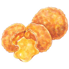 cheese ball watercolor style, snacks and appetizers food