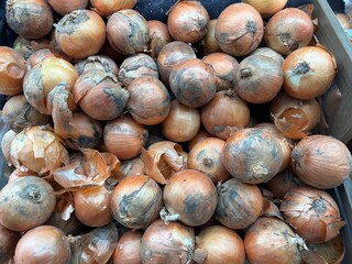 玉ねぎ　売り場