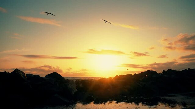 Birds flying over big stones at the beach at sunset. Big ocean waves hitting across huge stones with birds flying over during the sunset. Sea beach at sunset with romantic view. Slow motion shot.