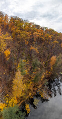 Fototapeta premium Aerial vertical scenery of river with yellow trees forest and grey cloudy sky. Flying autumnal riverside in Ukraine. Vertical panorama