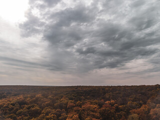 Autumn forest with grey cloudy sky. Autumnal nature scenery