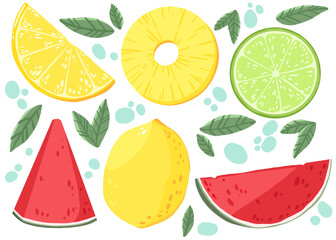 fruit set. Fruit Collection with watermelon, pineapple, lime, lemon in Illustration. hand draw Illustration. Fruit icon.