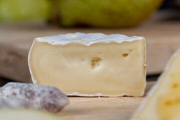 delicious soft cheese with white mold close-up