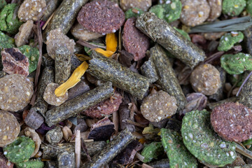 combined pet food for rodents, meat-free food