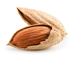 Two almonds nuts
