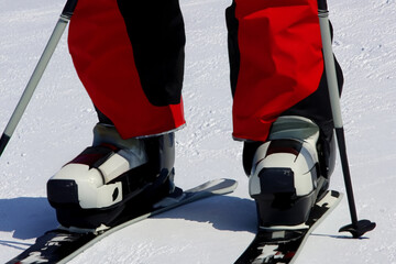Naklejka premium winter sport. male legs in a red winter suit stand on white and black skis, winter sport concept