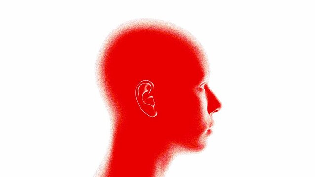 Stylized 3D Human head rotates 360 degree on white background. 4k Loop. Matte Background included.