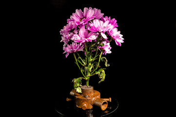 Old rusty iron bushing and flowers on a black background.