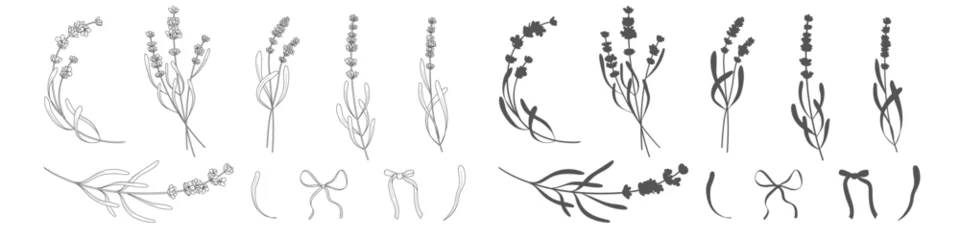 Fotobehang Lavender branches. Hand drawn botanical illustrations in linear style. © Bulgakova Kristina