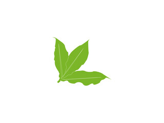 Leaf logo design vector illustration.