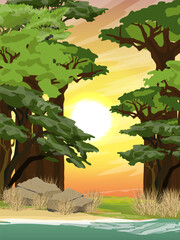 African savannah. Baobab grove on the shore of a pond at sunset. wildlife of africa. Realistic vector vertical landscape