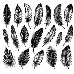 Set of bird feathers isolated on white. Vector. Creative concept ink
