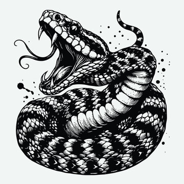 Viper snake in Ink technique, good for poster, sticker, tee shirt design