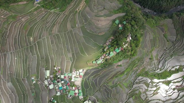 vue a&eacute;rienne de batad