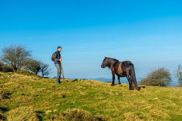 Horse on the top of Mount Ernio or Hernio in Gipuzkoa, Basque Country