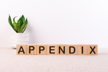 APPENDIX word made with building blocks on a light background