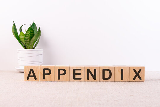 APPENDIX word made with building blocks on a light background
