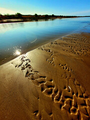 beach in the morning