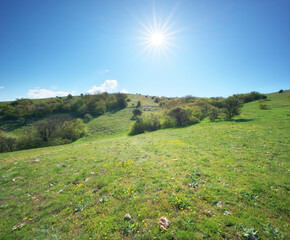 Mountain meadow at day.