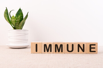 Text of IMMUNE on cubes on a light background
