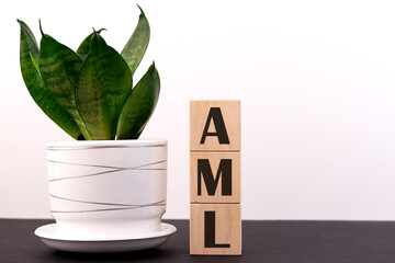 AML Acute myeloid leukemia acronym on wooden cubes on a table with a flower and a light background
