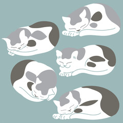 Simple flat illustration of cute cats curled up and sleeping. Gray on white. Japanese style