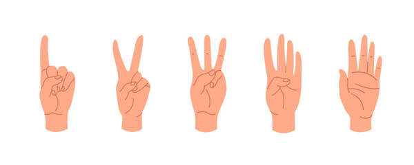 A set of human hand gestures showing the count on the fingers from one to five. The hands show the numbers 1, 2, 3, 4, 5. Gesture language. Simple math. Vector illustration 