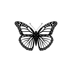 Fototapeta na wymiar monarch butterfly vector silhouette