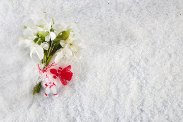 Snowdrops flowers with a red and white martenitsa on a snow background. Martisor and Baba Marta.