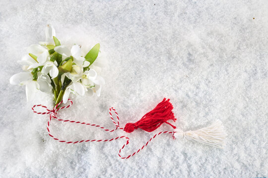 Snowdrops flowers with a red and white martenitsa on a snow background. Martisor and Baba Marta.