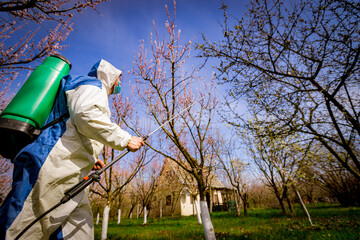 Gardener in protective overall sprinkles fruit trees with long sprayer in orchard