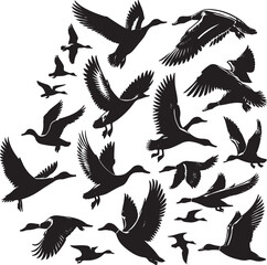 flock of flying ducks silhouette, isolated vector