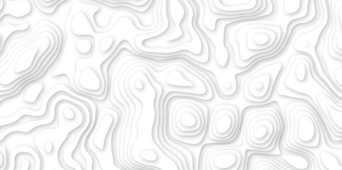 Abstract paper carve template. abstract white and gray 3d papercut topography relief vector background illustration. topographic canyon geometric map relief texture with curved layers and shadow.