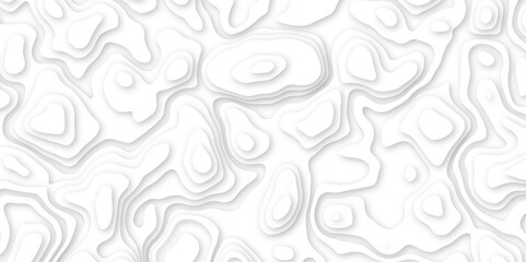 Abstract paper carve template. abstract white and gray 3d papercut topography relief vector background illustration. topographic canyon geometric map relief texture with curved layers and shadow. - obrazy, fototapety, plakaty