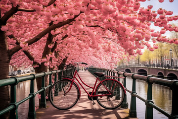 The Netherlands, with flowers and bicycles on the bridge in spring