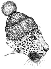 Vintage engraving isolated leopard set glasses dressed fashion panther illustration ink sketch. Africa wild cat cheetah background jaguar animal silhouette  sunglasses hipster hat art. 