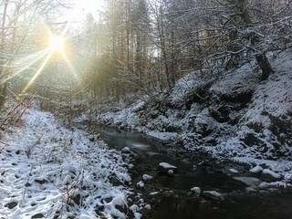 snow covered trees. Winter landskape.