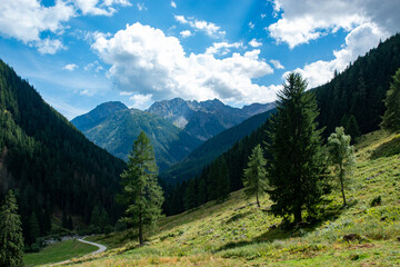 Fototapeta na wymiar Val di Rabbi Valley of the Dolomites famous for its Tibetan bridges and ancient sawmills Alps Italy