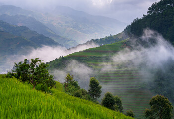 Terraced rice fields, Mu Cang Chai, Yen Bai, Vietnam - 732374095