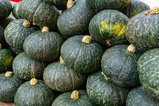 pumpkin typical Mantua product for cooking tortelloni, rice and tortellacci