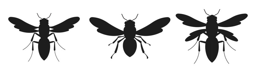 Insects set flat icon. Wasp set symbol design vector ilustration.